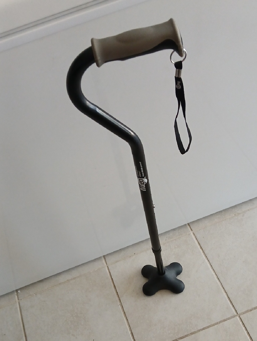 HUGO Men's Black Walking Cane with Gray Handle